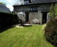 backgarden1