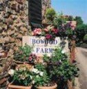 Holiday house and cottage rental near Royal North Devon Golf Course, Devon