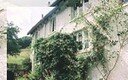 Shute Cottage Bed and Breakfast and Self Catering Accommodation near Teign Valley Golf Club, Devon, England