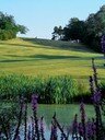 The Warren Golf Club