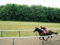 horseracingsteve