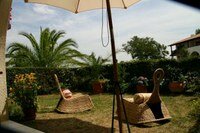 garden1