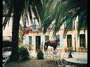 Bed and Breakfast and cottage rental Corneilla del Vercol near St Cyprien Golf Course, near Perpignan, France