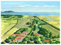 Domaine de la Mandoune6