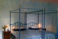la grenouille8