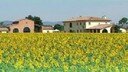 Corte degli Armonici Bed and breakfast and self catering accommodation Valdichiana, near Arezzo, Tuscany