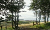 Hill of Maunderlea Lodges7