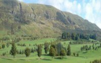 Campsie