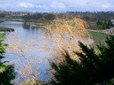 Duncan House bed and breakfast and self catering accommodation near Roxburghe Golf Club, Kelso, Scotland