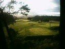 Hawick Golf Club