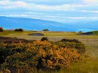 royal dornoch 1