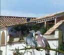 Arosoleil Bed and breakfast and gite rental near Torremirona Golf Club, Capmany, Girona, Costa Brava