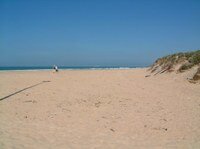 Beach in March