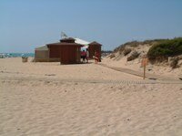 Beach summer