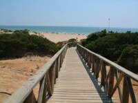 Boardwalk to the beach
