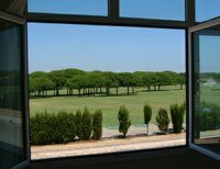 View from front window