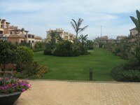 gardens