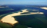 capferret